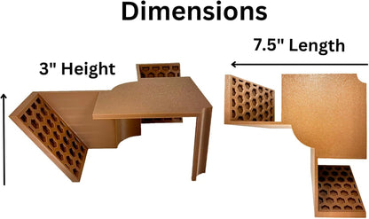Hermit crab underground corner tunnel cave dimensions including height and length. 