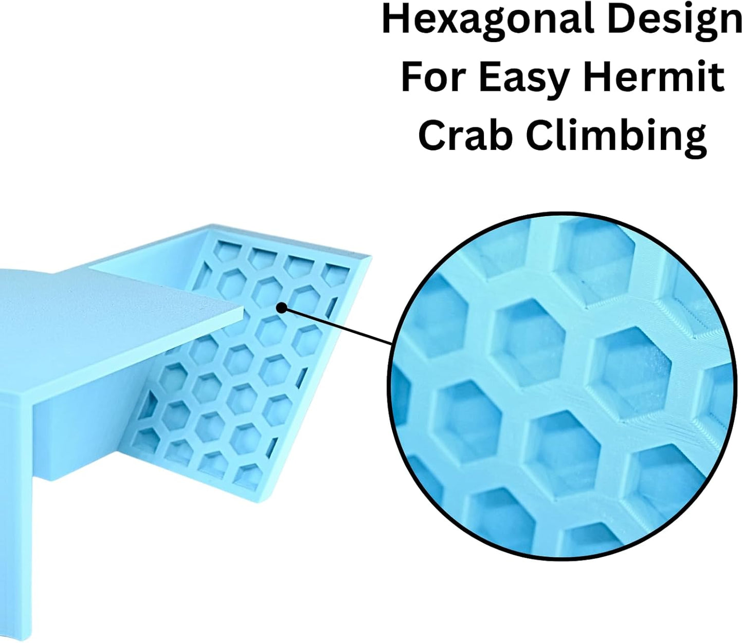 Hermit Crab Underground Tunnel Cave Corner | Hermit Crab Climbing Hide