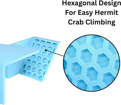 Hermit Crab Underground Tunnel Cave Corner | Hermit Crab Climbing Hide