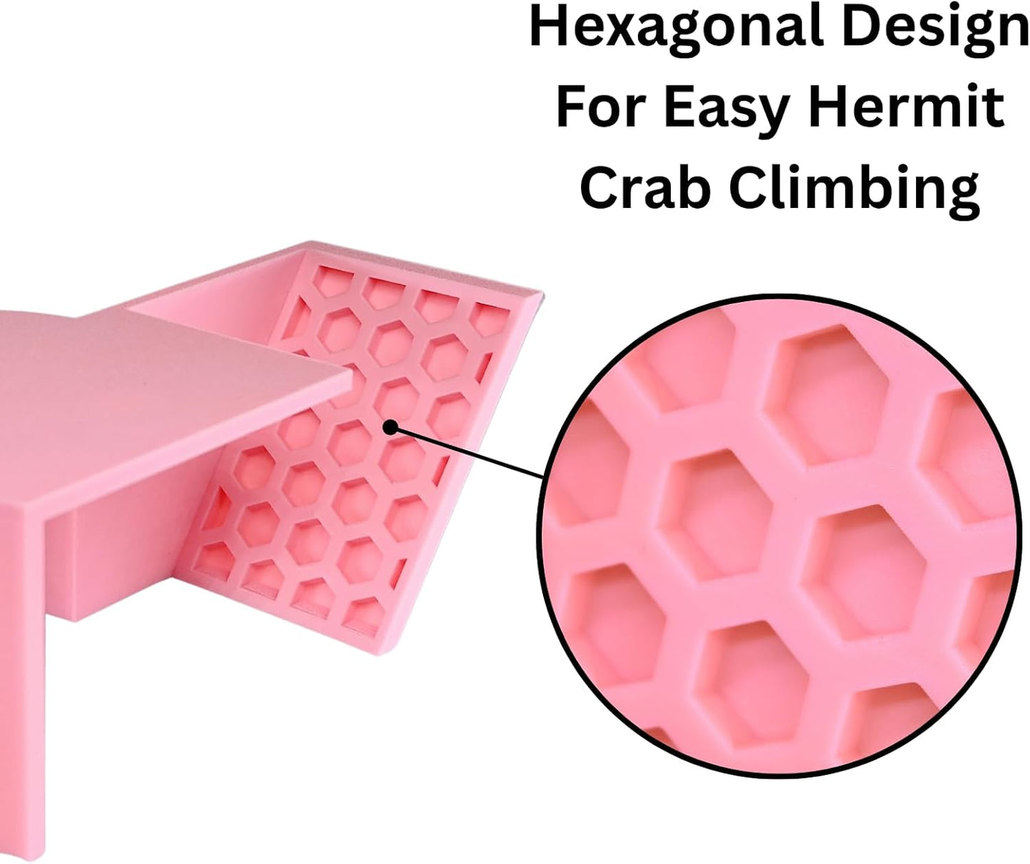 Hermit Crab Underground Tunnel Cave Corner | Hermit Crab Climbing Hide