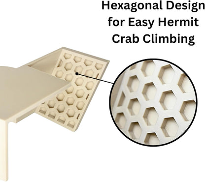 Hermit Crab Underground Tunnel Cave Corner | Hermit Crab Climbing Hide