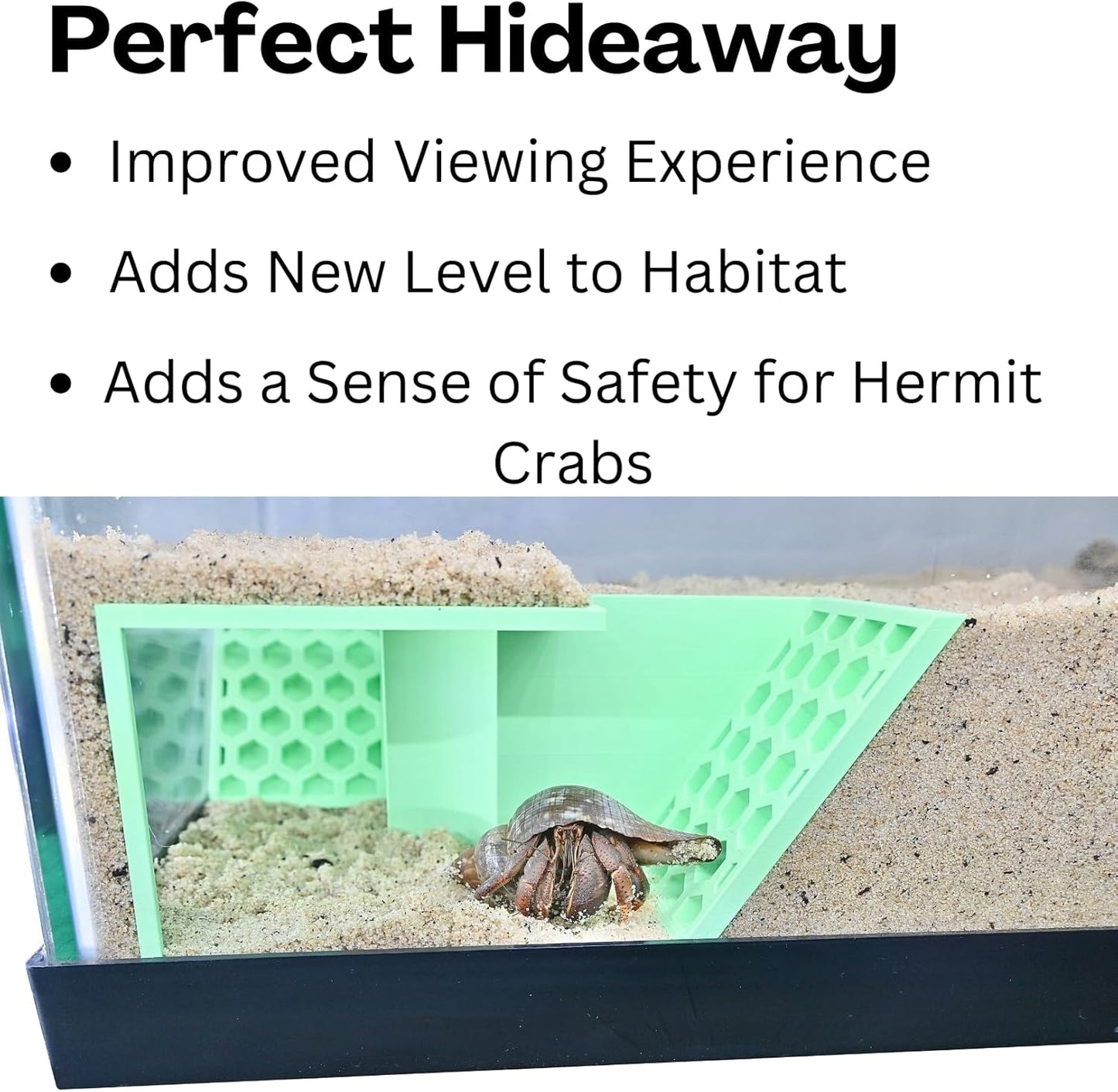 Hermit Crab Underground Tunnel Cave Corner | Hermit Crab Climbing Hide