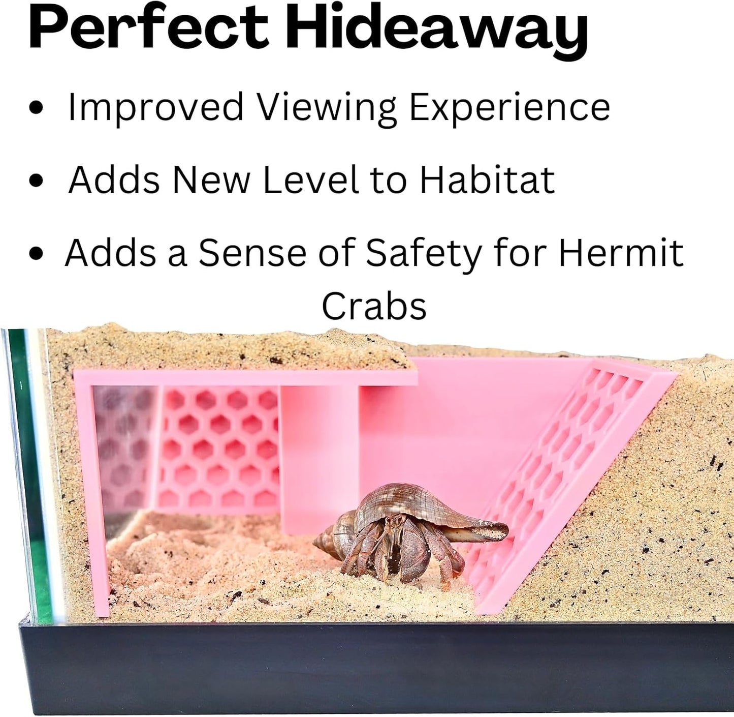 Hermit Crab Underground Tunnel Cave Corner | Hermit Crab Climbing Hide