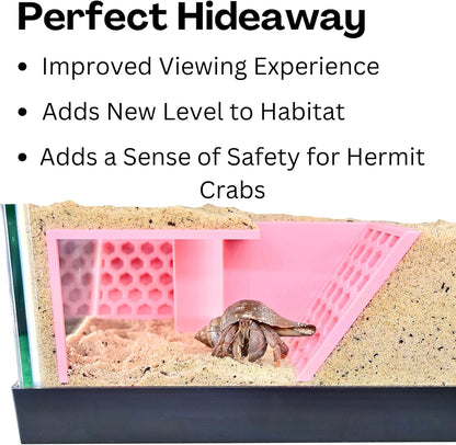 Hermit Crab Underground Tunnel Cave Corner | Hermit Crab Climbing Hide