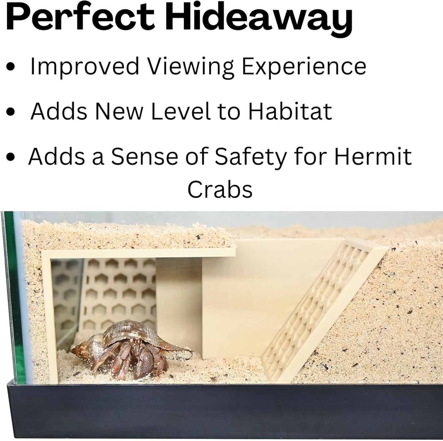 Hermit Crab Underground Tunnel Cave Corner | Hermit Crab Climbing Hide