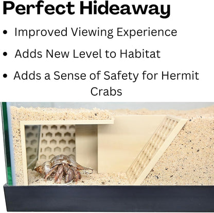 Hermit Crab Underground Tunnel Cave Corner | Hermit Crab Climbing Hide