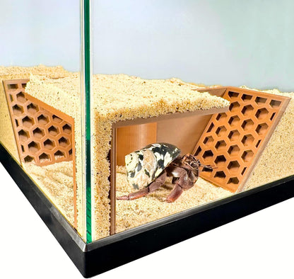 Hermit crab inside underground corner tunnel cave with white sand.