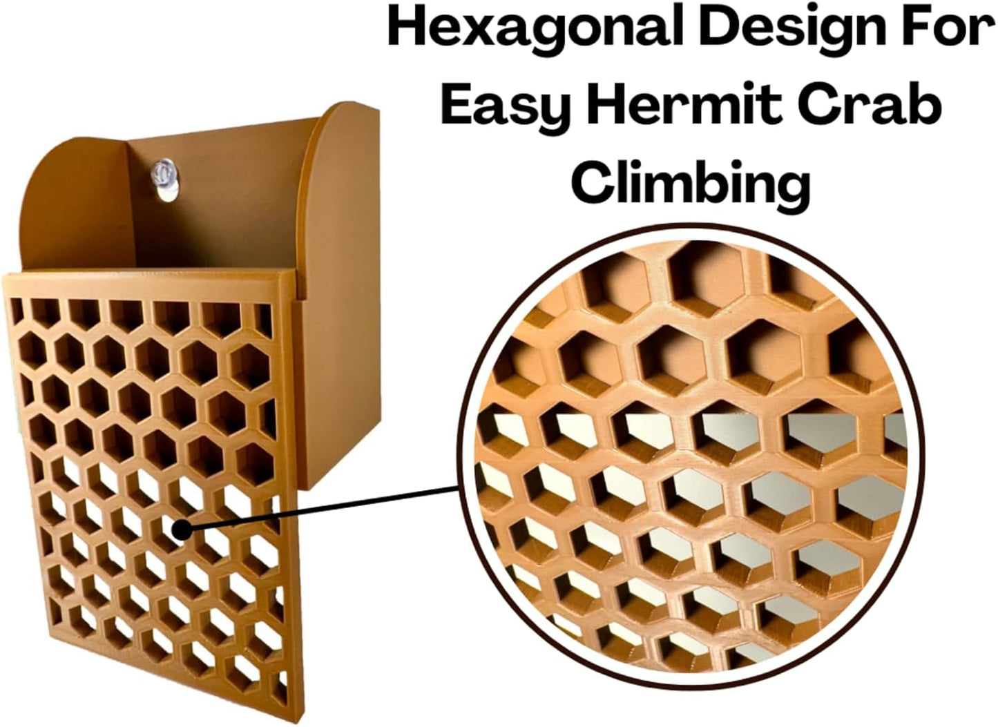 Hermit crab wall foraging basket with hexagonal design for easy hermit crab climbing. 