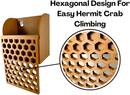 Hermit crab wall foraging basket with hexagonal design for easy hermit crab climbing. 