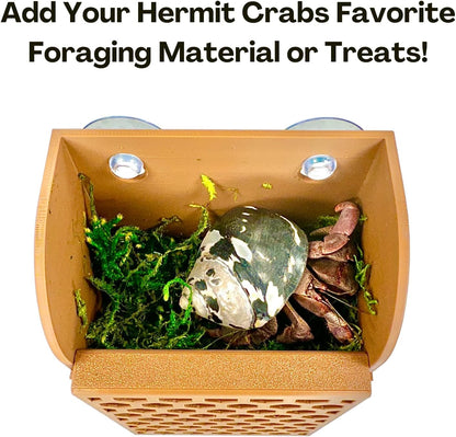 Add foraging material or treats to the hermit crab wall foraging basket to provide enrichment and happiness for hermit crabs.