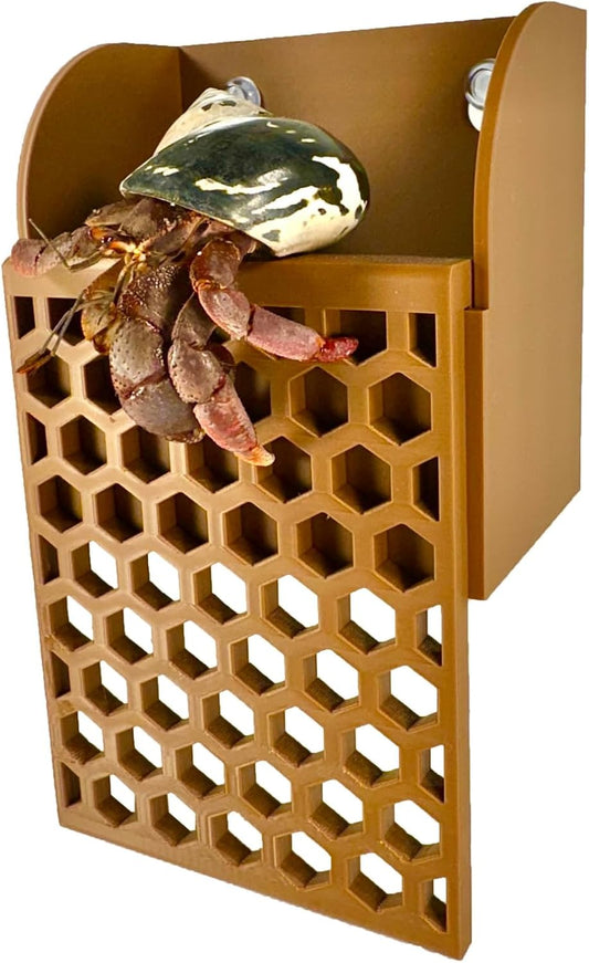 Hermit crab wall foraging basket with hermit crab climbing out of the basket.