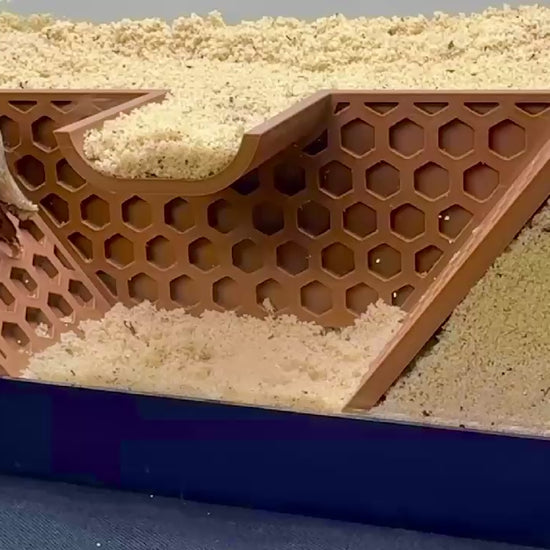 Video demonstration of hermit crab underground climbing tunnel. Demonstrations installation and use of hexagonal design for easy climbing.