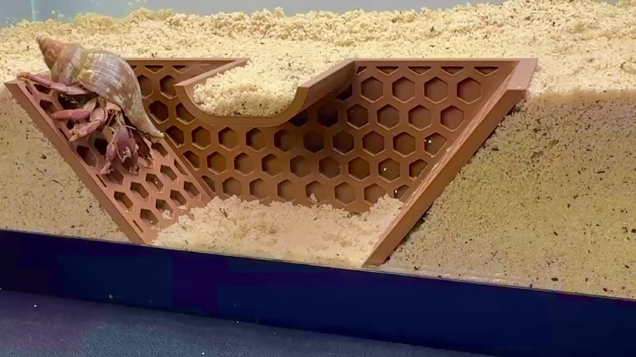 Video demonstration of hermit crab underground climbing tunnel. Demonstrations installation and use of hexagonal design for easy climbing.