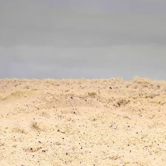 Video of hermit crab coconut climbing hide demonstration.
