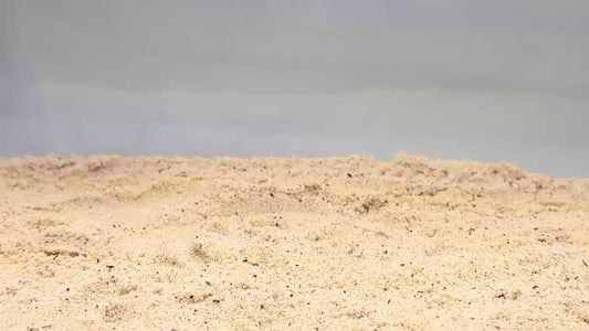 Video of hermit crab coconut climbing hide demonstration.