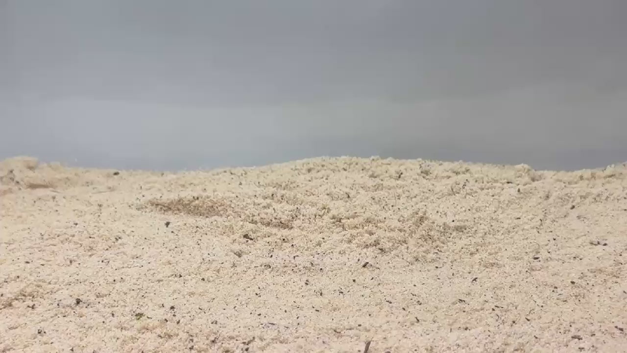Video demonstration of hermit crab climbing bridge.