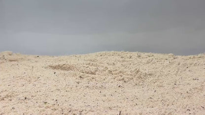 Video demonstration of hermit crab climbing bridge.