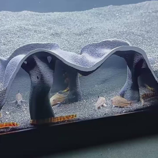 Video demonstration of aquarium underground cave.
