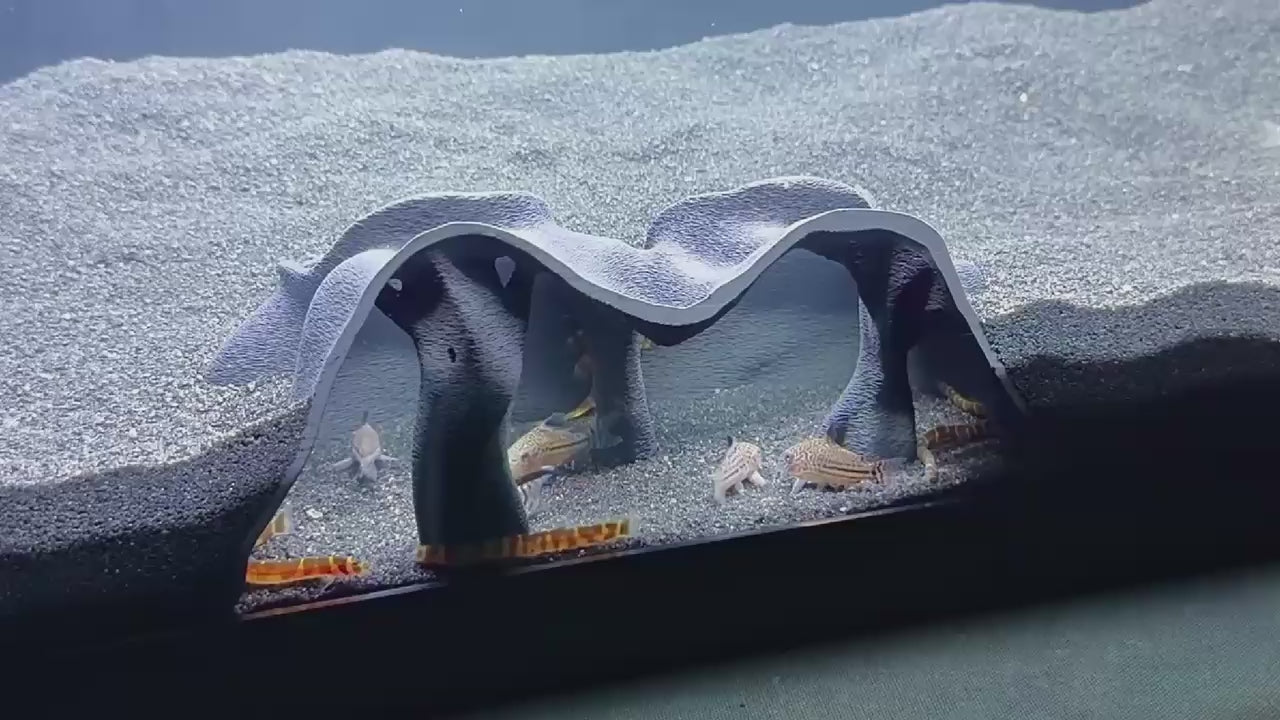 Video demonstration of aquarium underground cave.