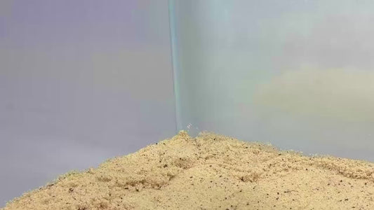 Video demonstration of hermit crab climbing corner of how to place in hermit crab habitat.