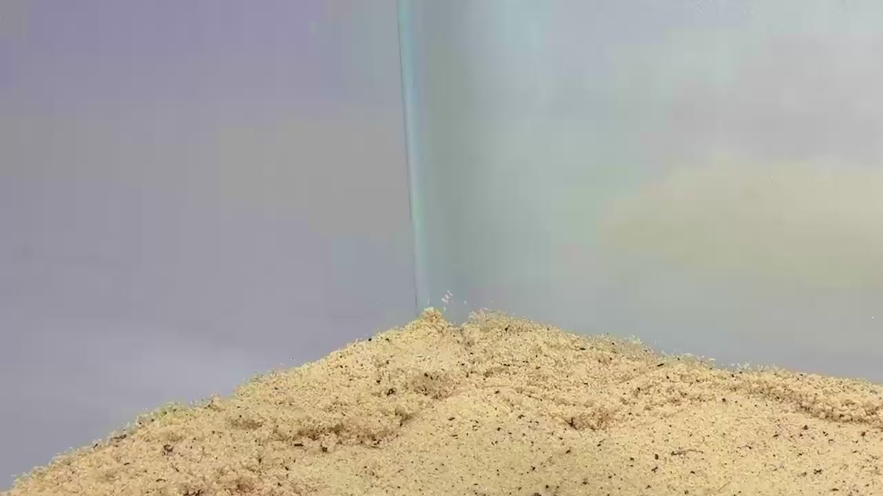 Video demonstration of hermit crab climbing corner of how to place in hermit crab habitat.