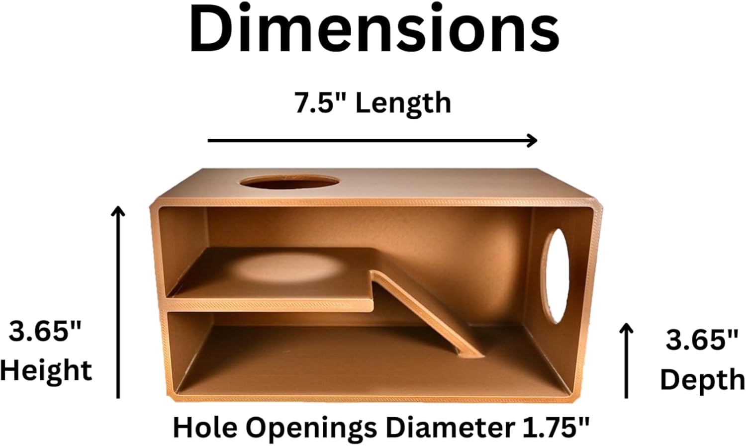 Reptile against glass viewing hide dimensions including length, height, and depth of cave.