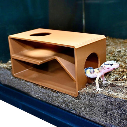 Leopard gecko climbing out of the reptile against glass viewing cave. Provide a sense of security and safety for reptiles.