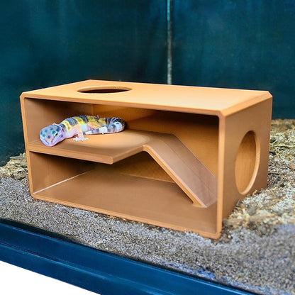 Leopard gecko resting peacefully in reptile against glass viewing hide.