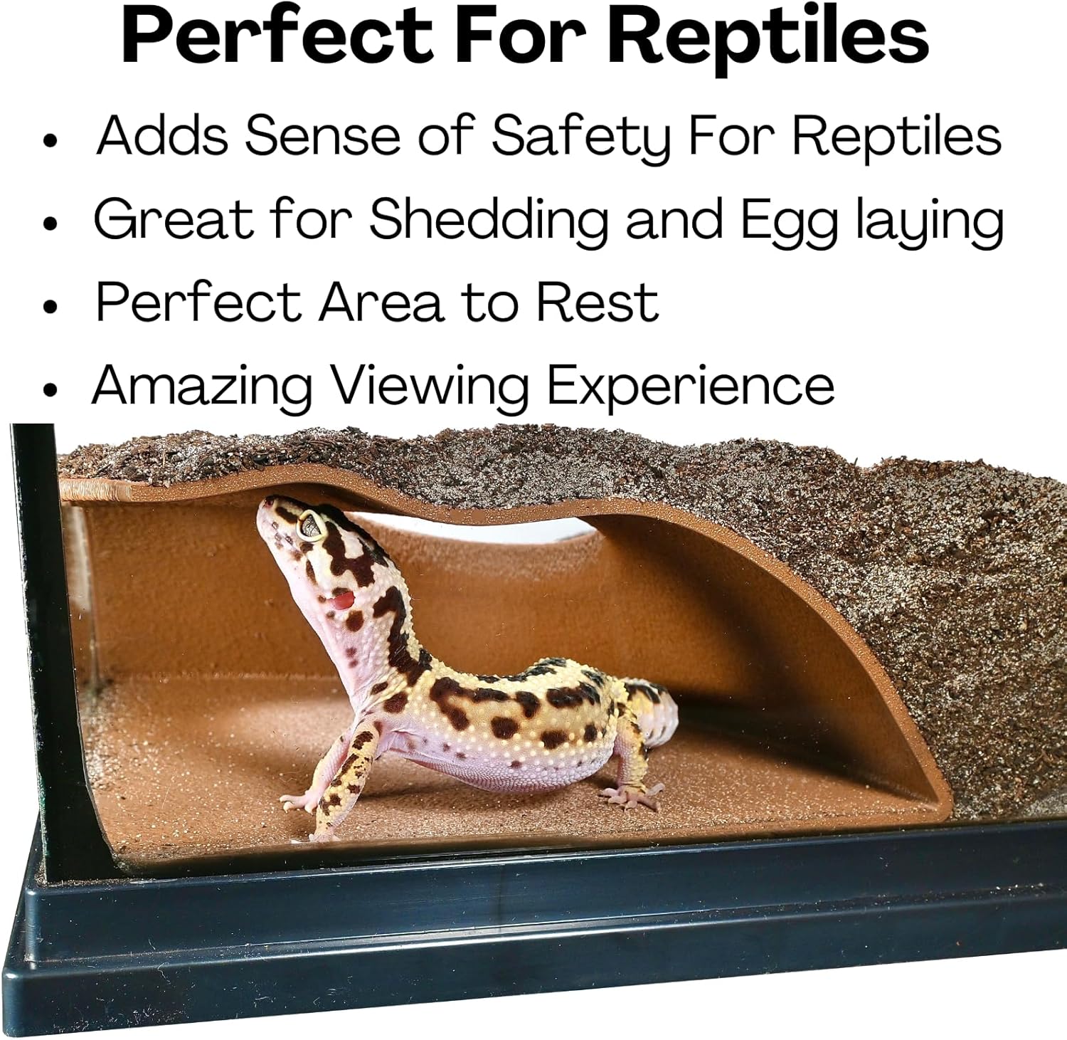 Leopard gecko inside underground corner cave. Perfect for reptiles, adding sense of safety, and great for shedding, rest, and egg laying while providing an amazing viewing experience.