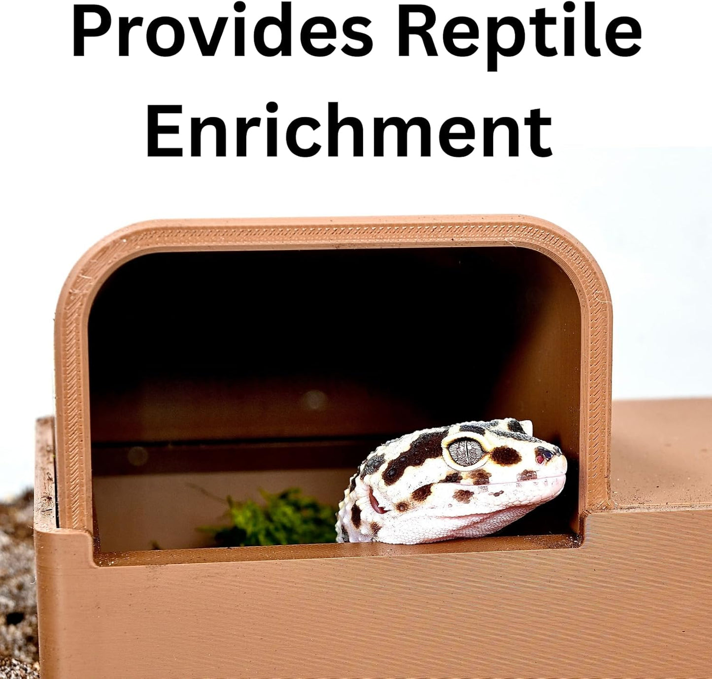 Leopard gecko peeking out of humid hide that provides enrichment for reptiles.