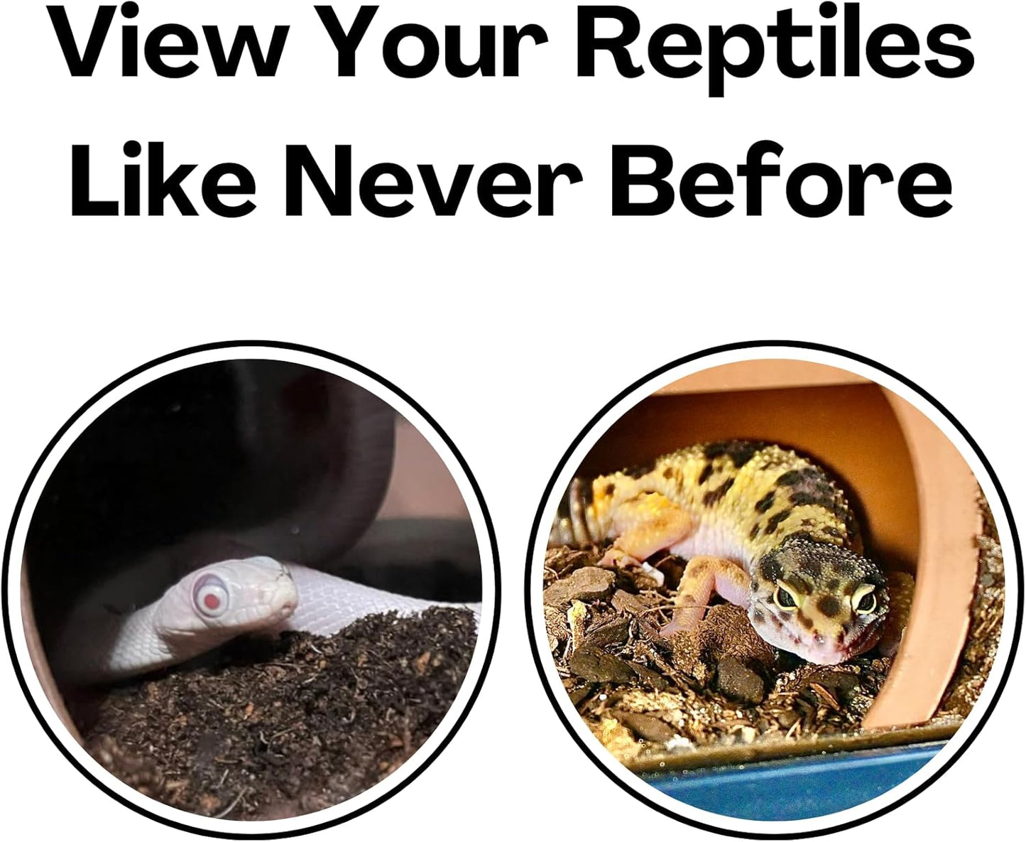 Reptile Underground Hiding Cave | Reptile Accessories Hides