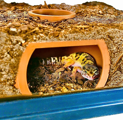 Reptile Underground Hiding Cave | Reptile Accessories Hides