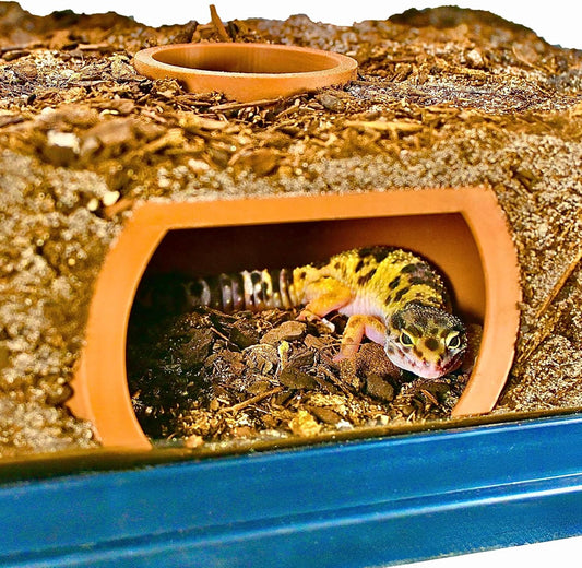 Reptile on-glass viewing hide with leopard gecko laying inside of it looking out the habitat.