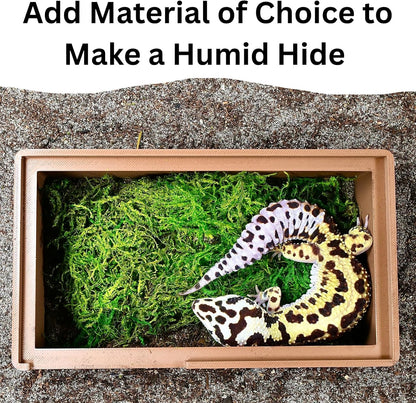 Leopard gecko inside humid hide underground cave with green mossy substrate. 