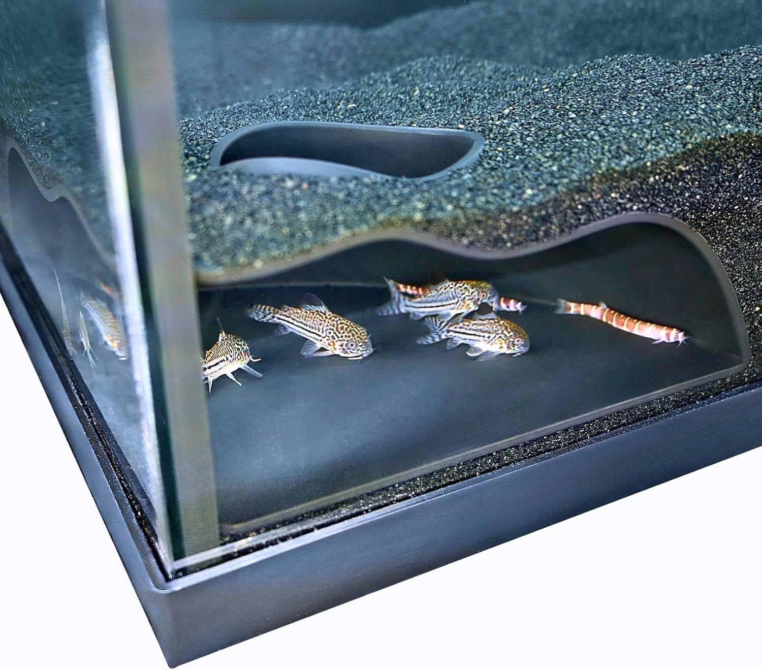 Front view of black underground natural curve corner cave in the aquarium with fish inside.