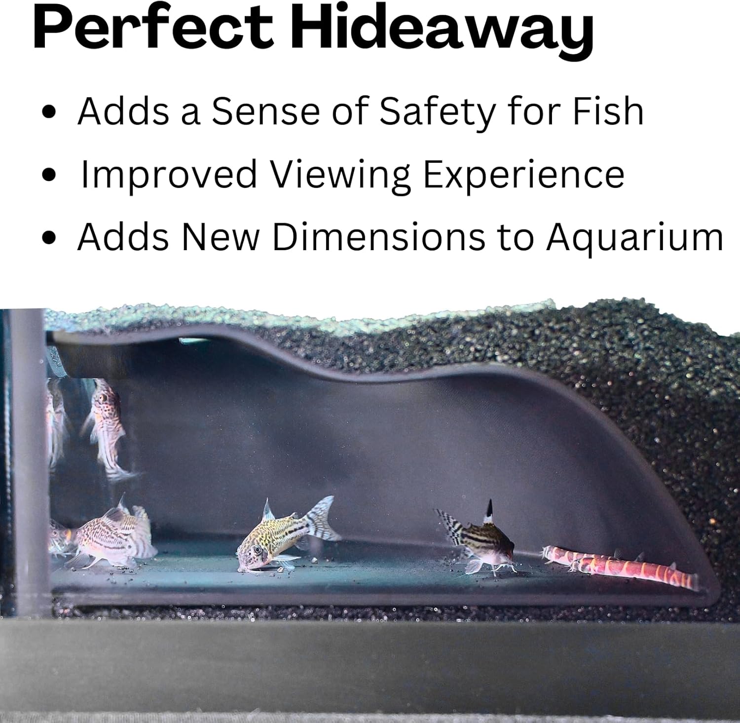 Aquarium photo of kuhli loach and cory catfish swimming inside underground corner cave. Perfect hideaway by adding a sense of safety for the fish and adding new dimensions to aquarium while improving the viewing experience.