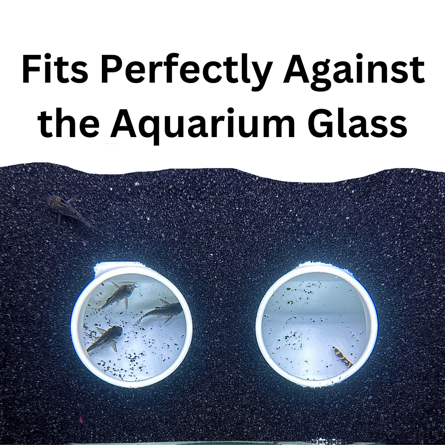 White aquarium cave underground against the fish tank glass to show how it sits under gravel.