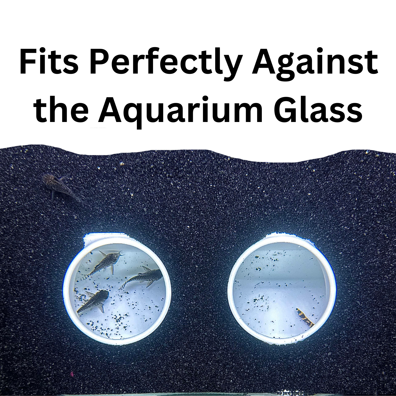 White aquarium cave underground against the fish tank glass to show how it sits under gravel.