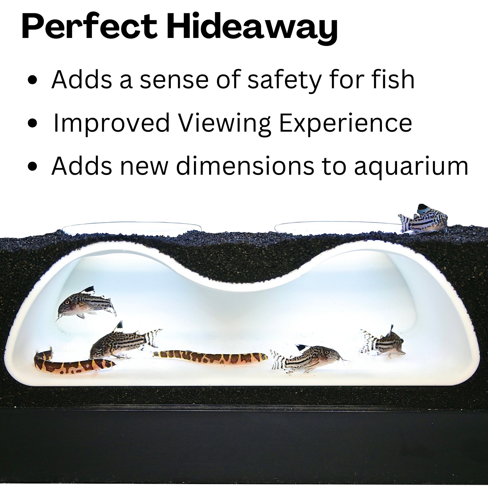 Aquarium hideaway front on image with text explaining the many benefits including safety, improved viewing and hideout