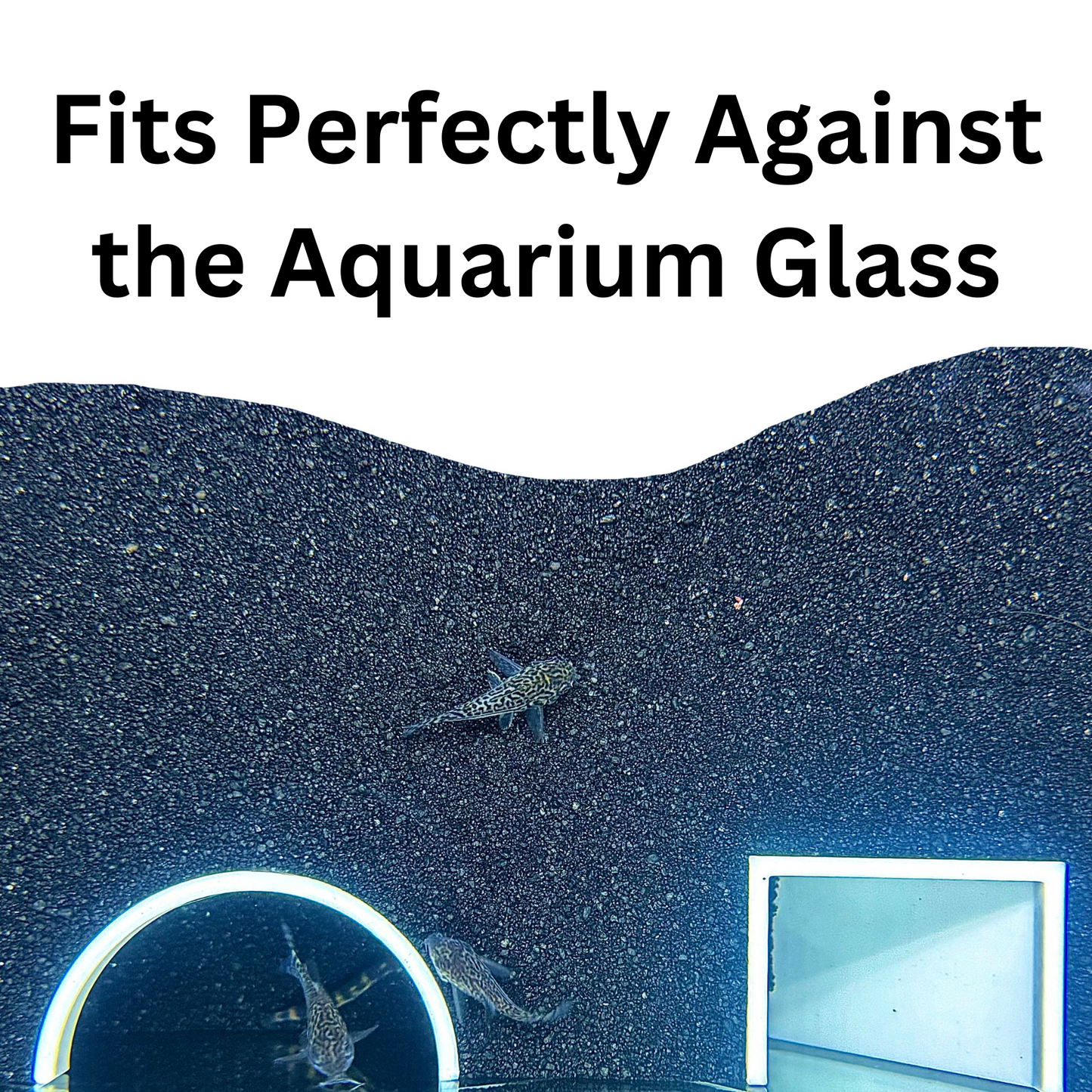 The white aquarium underground dome tunnel fits perfectly against the aquarium glass.