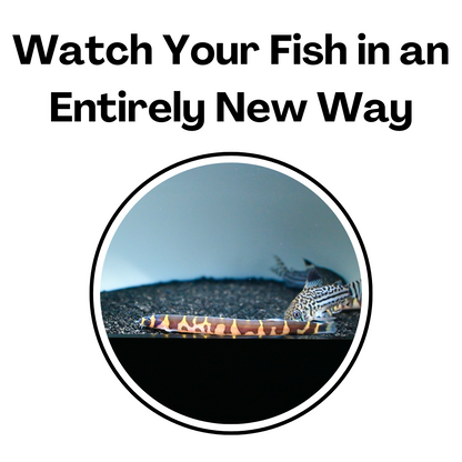Watch your fish in an entirely new and exciting way with the white aquarium underground dome tunnel cave.