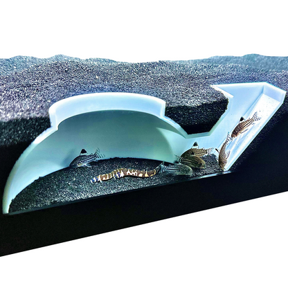 Aquarium white underground dome tunnel cave with kuhli loaches and cory catfish swimming in and out of it.